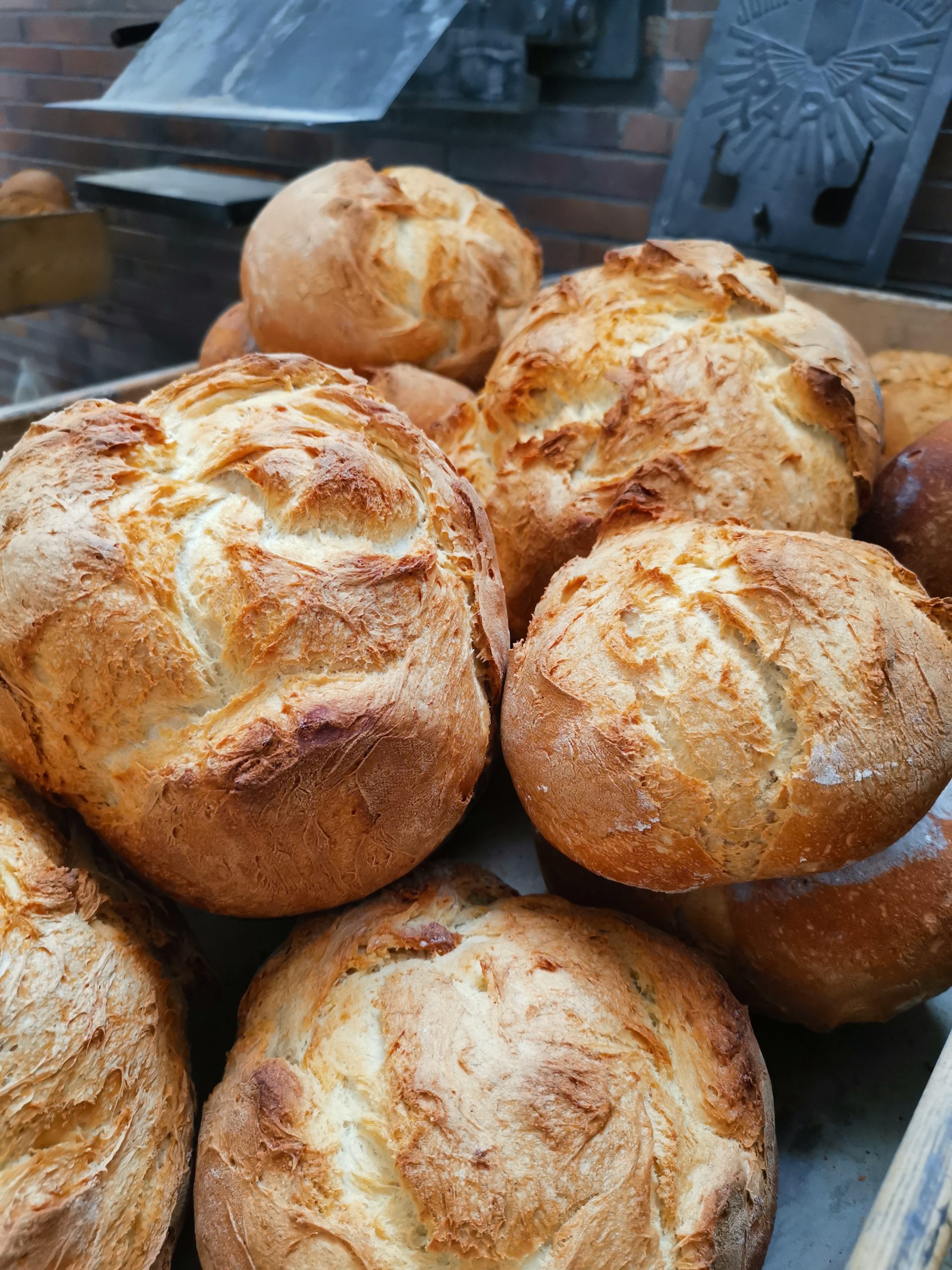 panets forn de pa panets forn de pa fleca montanya